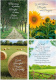 Sympathy Cards - Fields of Comfort (Box of 12)
